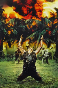 Platoon